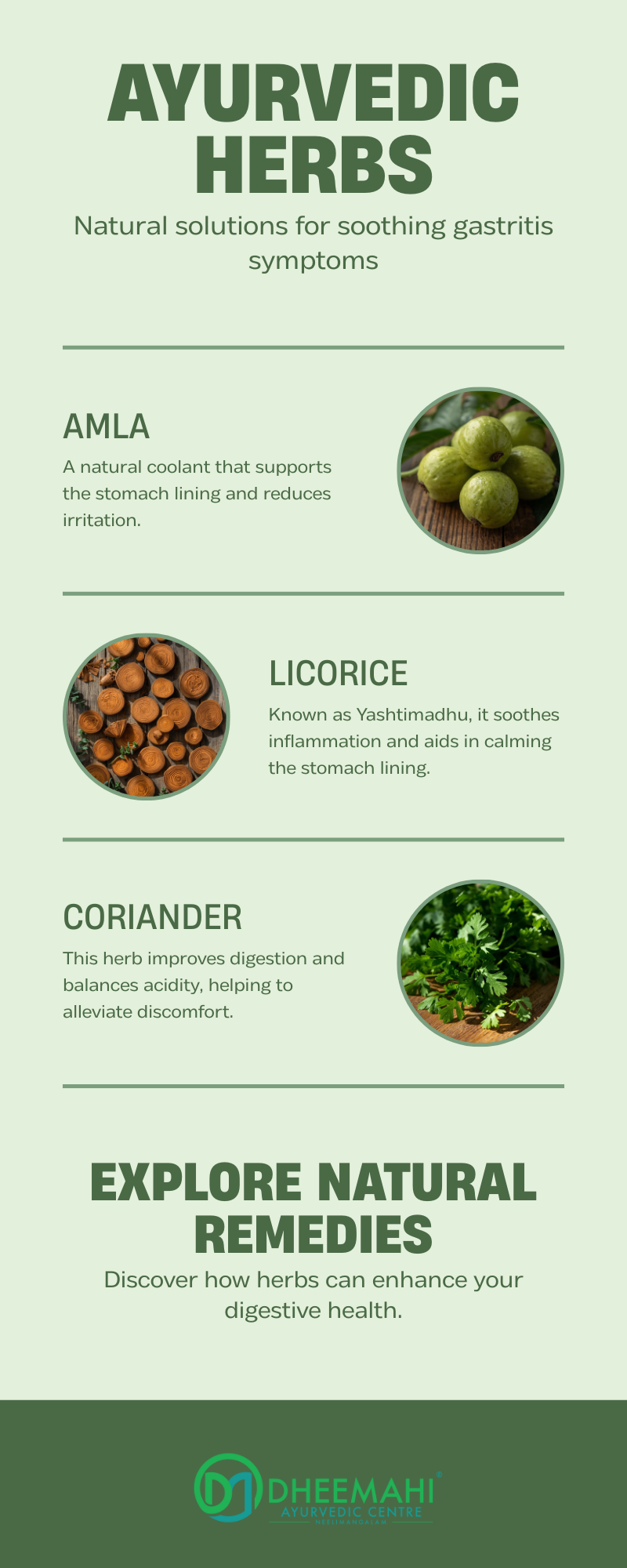Ayurvedic for gastritis infographic showing herbs like amla, licorice, and coriander used to soothe stomach inflammation and acidity