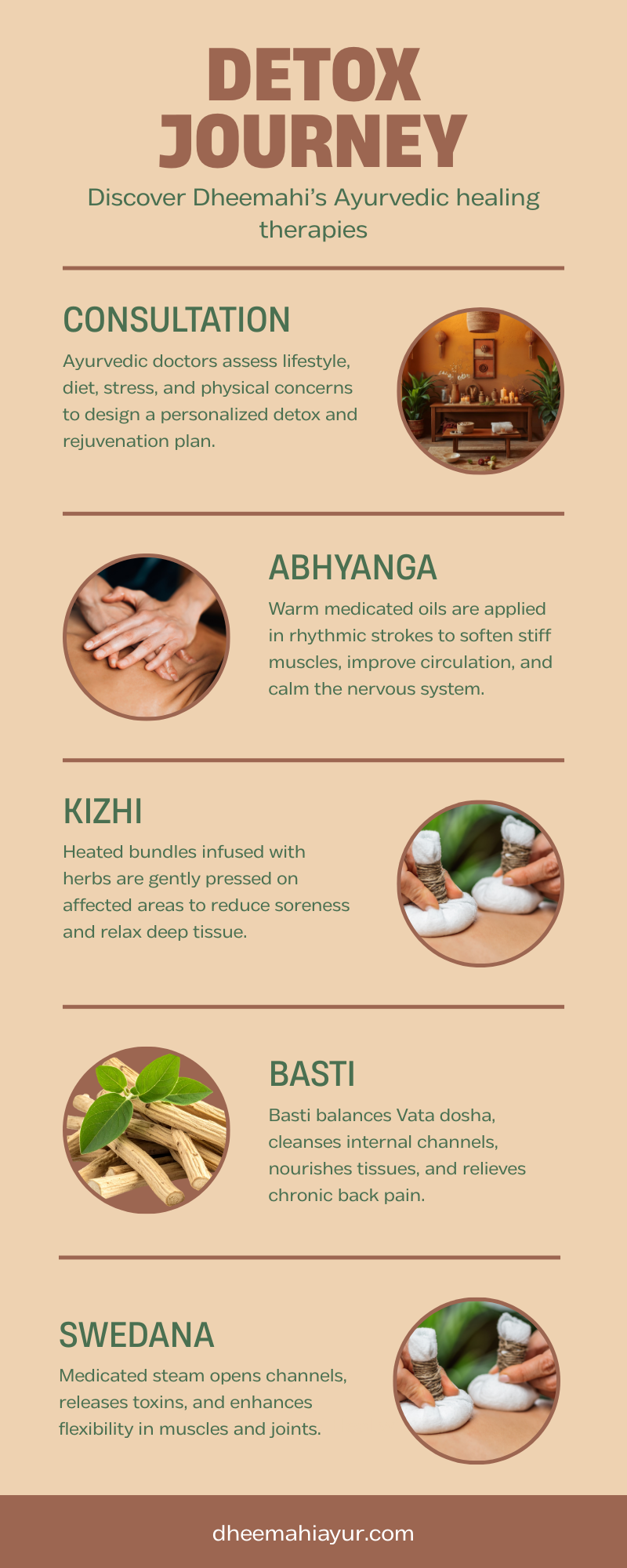 Ayurvedic detox journey infographic showing consultation, Abhyanga, Kizhi, Basti, and Swedana therapies for back muscle pain relief.