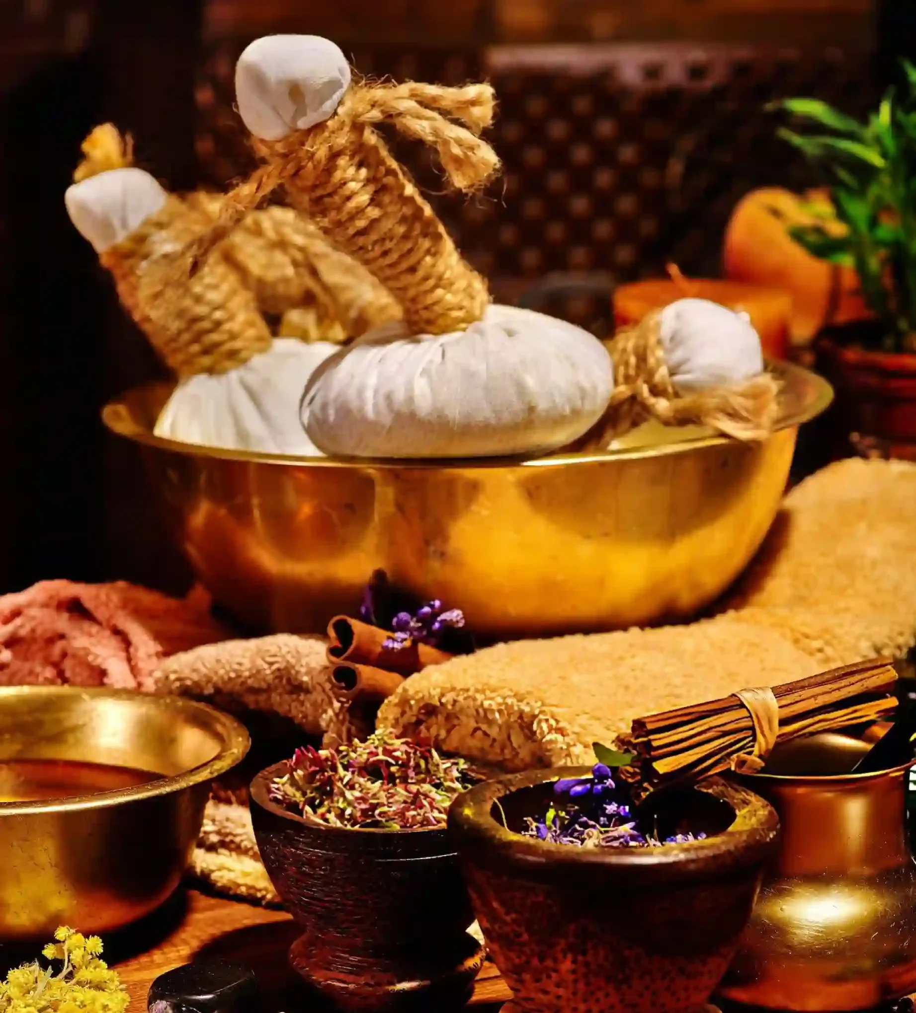 Ayurvedic Treatment for Skin Disease